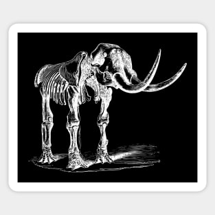 Mammoth Skeleton Sticker